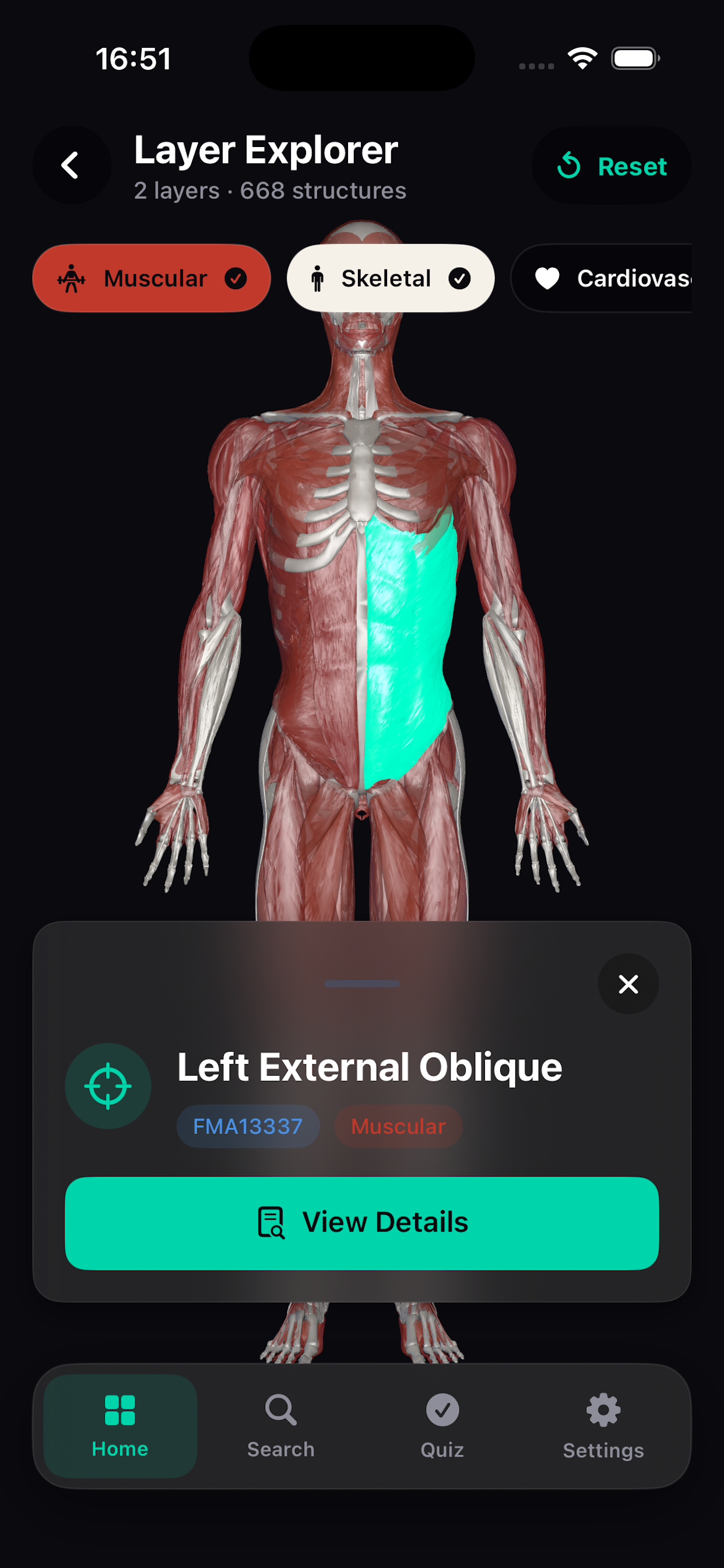 Rotate and zoom anatomy