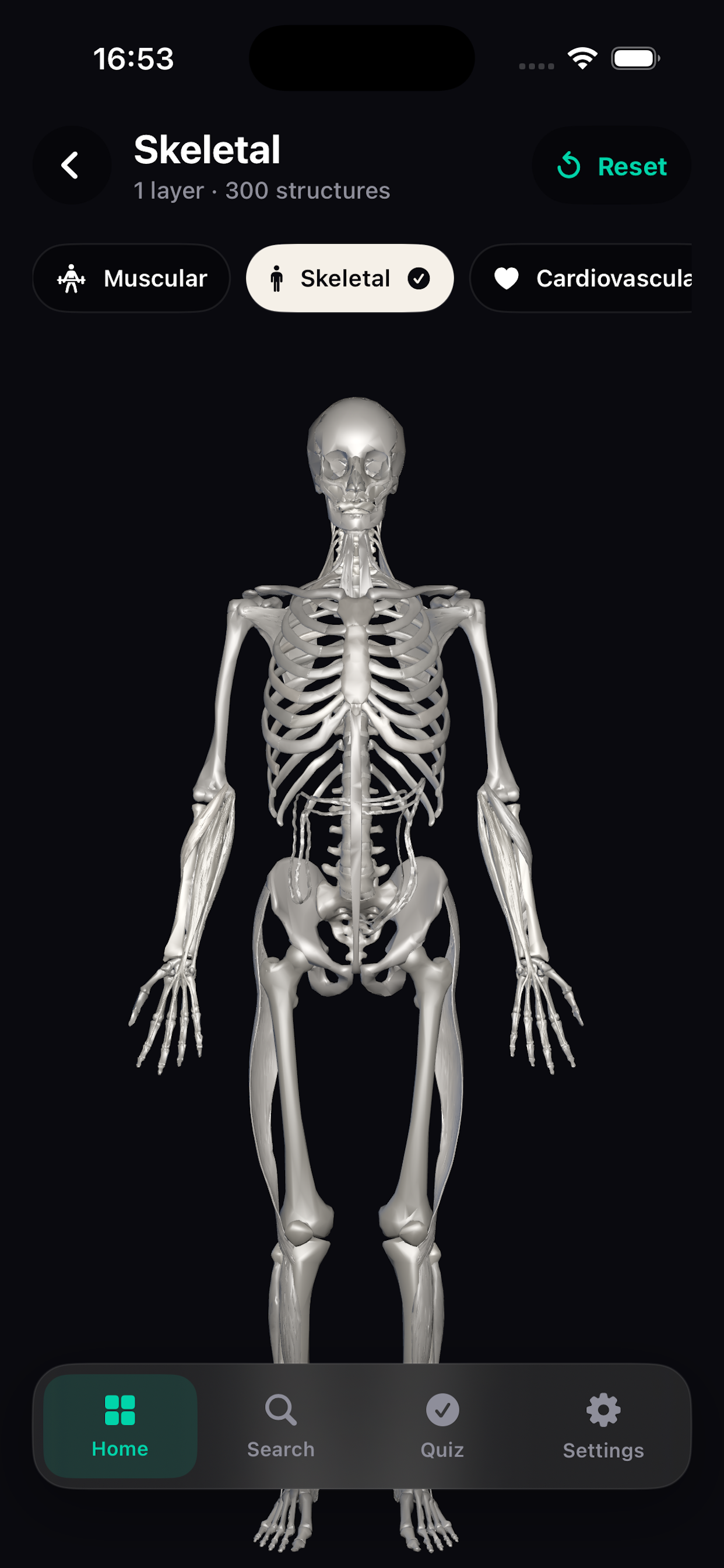 Anatomy quiz
